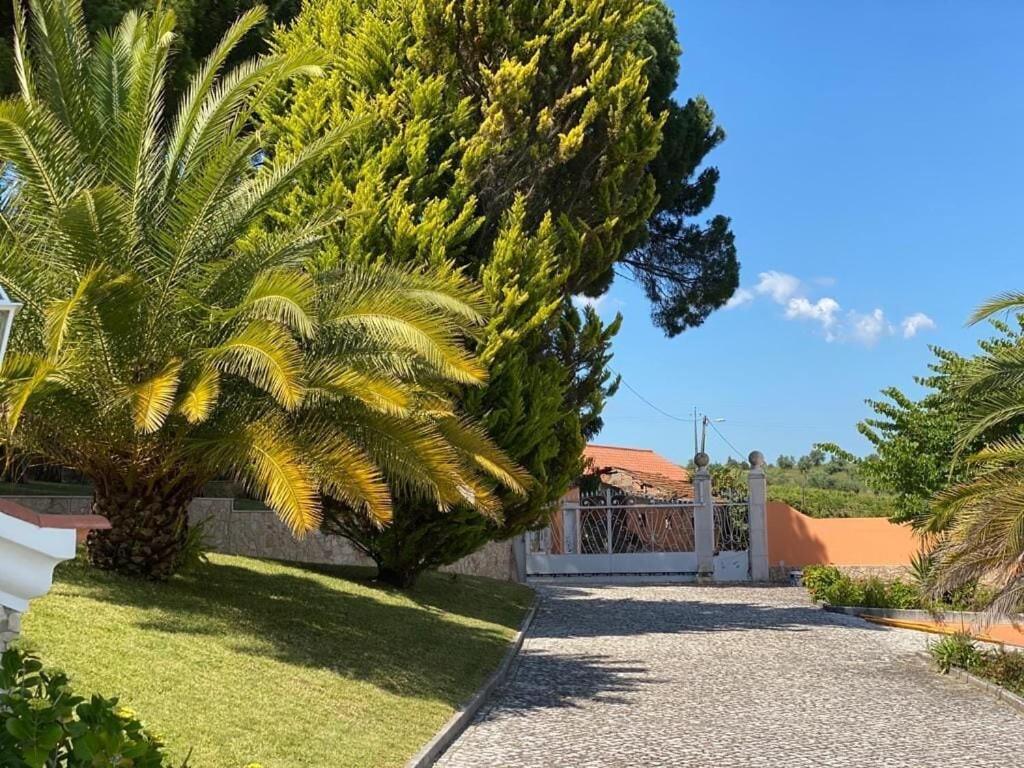 Quinta Do Alto Dos Pinheiros Villa Sao Joao da Ribeira ภายนอก รูปภาพ