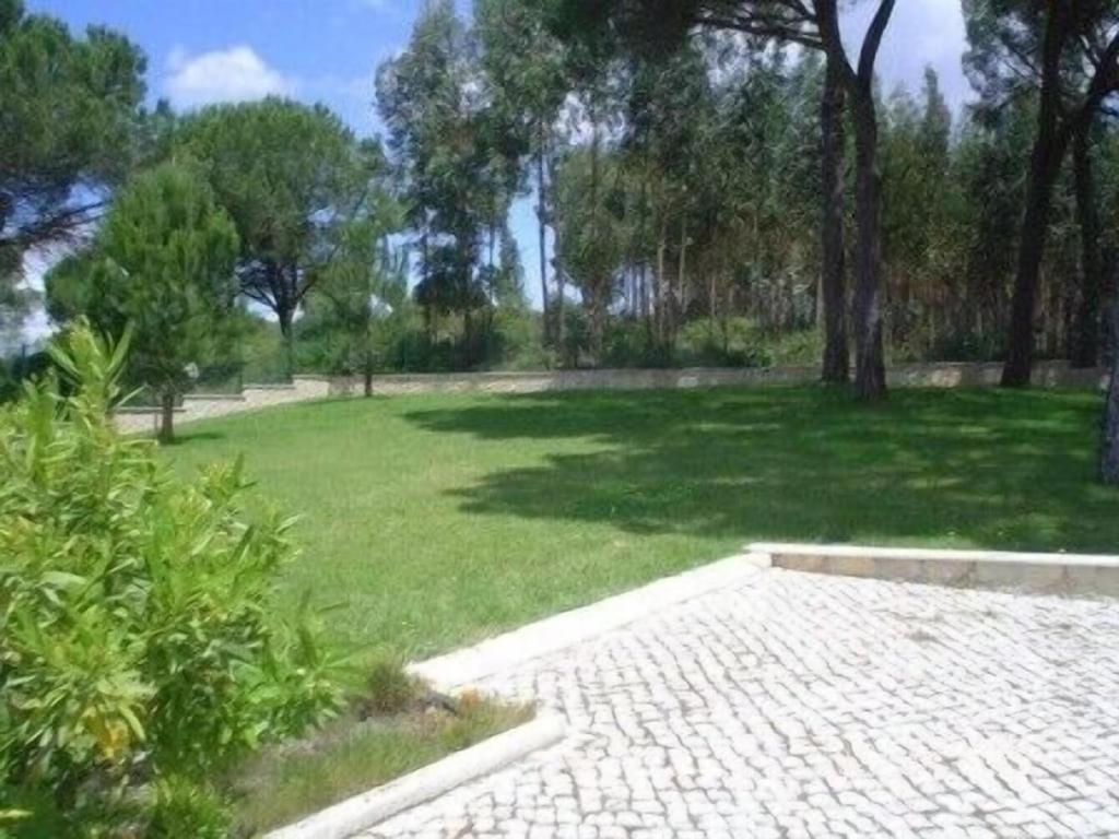 Quinta Do Alto Dos Pinheiros Villa Sao Joao da Ribeira ภายนอก รูปภาพ