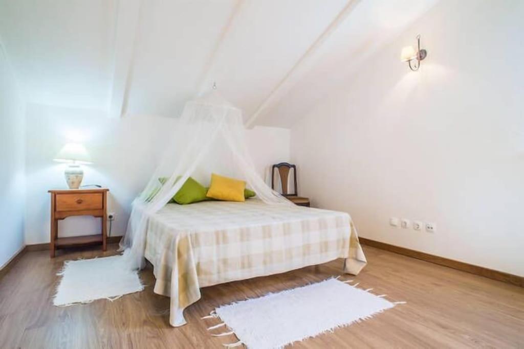 Quinta Do Alto Dos Pinheiros Villa Sao Joao da Ribeira ภายนอก รูปภาพ