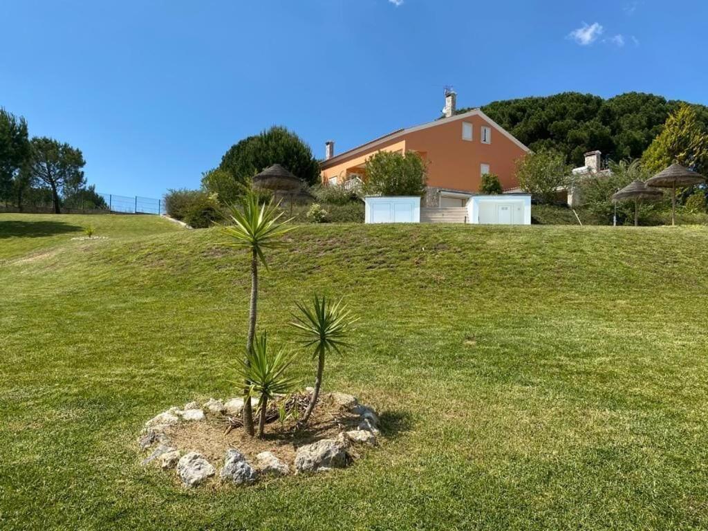 Quinta Do Alto Dos Pinheiros Villa Sao Joao da Ribeira ภายนอก รูปภาพ